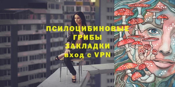 a pvp Алзамай