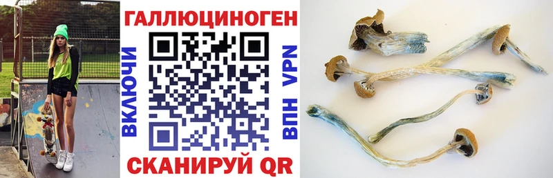 площадка состав Устюжна Галлюциногенные грибы прущие грибы
